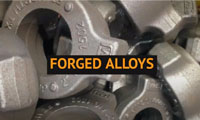 Alloy Forging